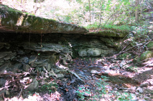Dry Falls--Leatherwood Wilderness Tom Walden--September 2013